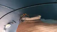 Rebocador à venda