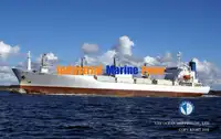 Navio frigorífico à venda