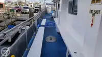 Catamarã à venda