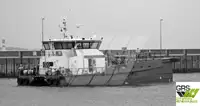 Navio de serviço para parques eólicos à venda