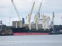 Navio frigorífico à venda