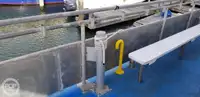 Catamarã à venda