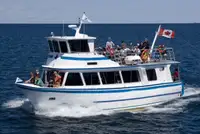 Navio de cruzeiro à venda