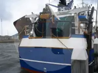 Navio de pesca de arrasto de rede de fundo à venda
