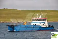 Navio de serviço para parques eólicos à venda