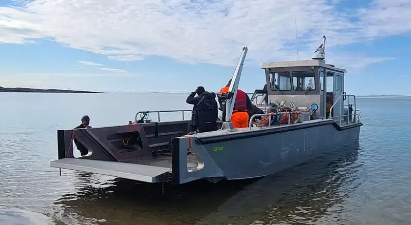 Balsa de desembarque, tanque à venda