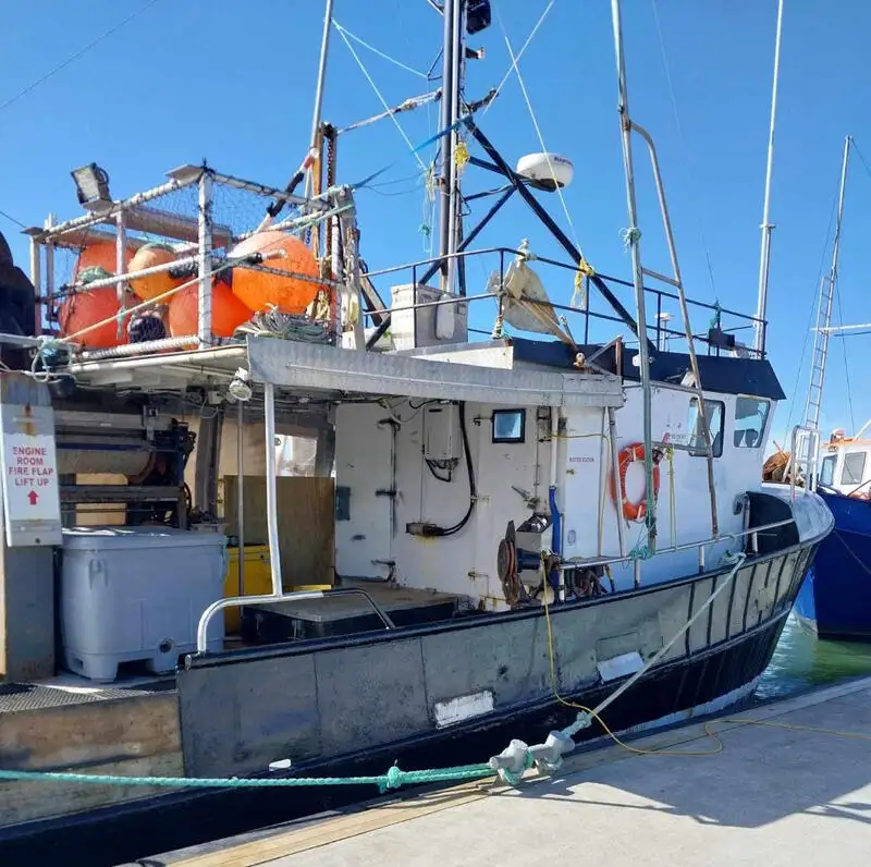 Navio de pesca de linha de mão à venda