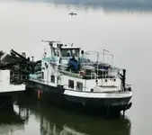 Draga à venda