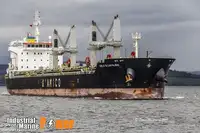 Navio graneleiro à venda