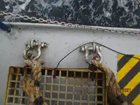 Navio frigorífico à venda