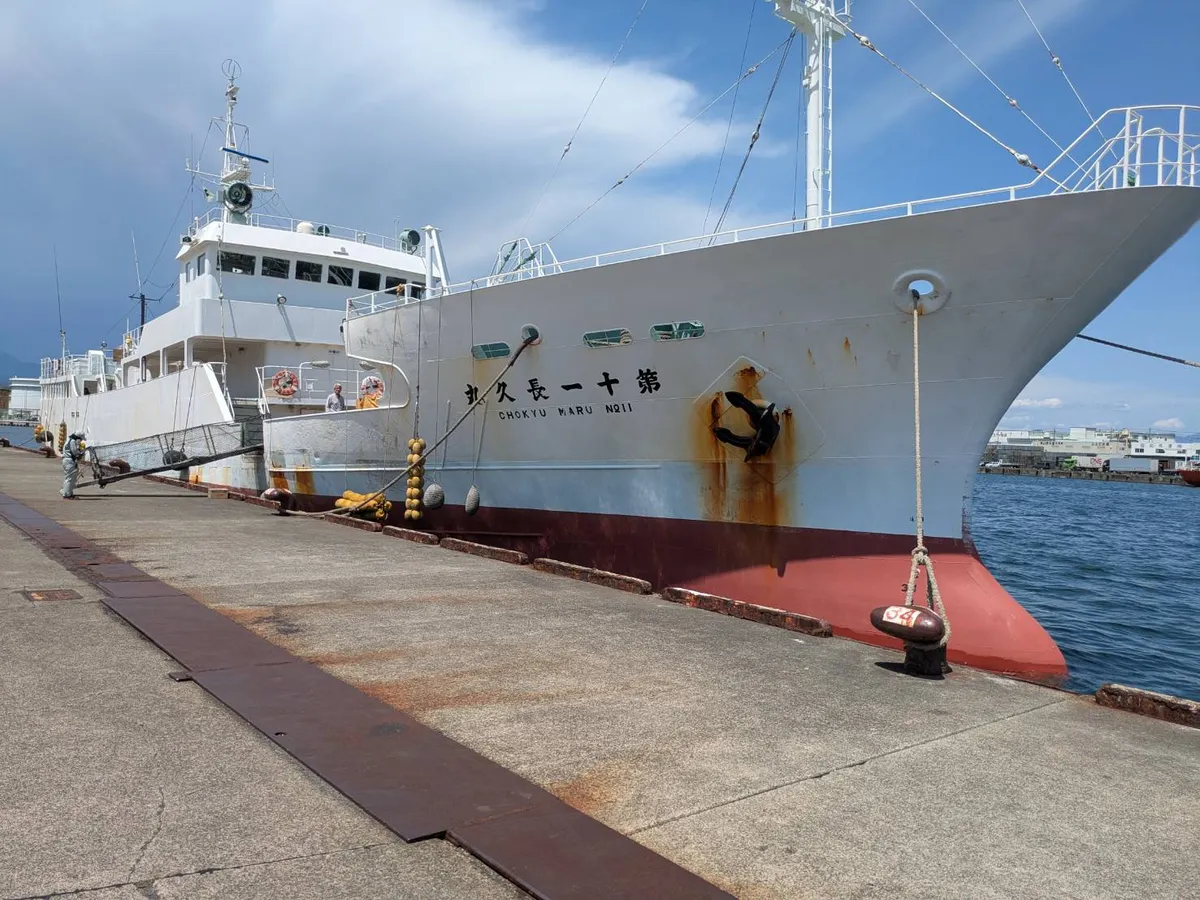 Navio de pesca de linha de mão à venda