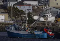 Navio de pesca de cerco à venda