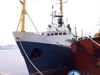 Navio de pesca de arrasto à venda