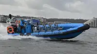 Bote inflável rígido à venda