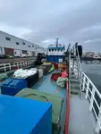 Barcos de trabalho à venda