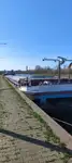 Navio graneleiro à venda