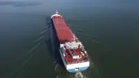 Navio graneleiro à venda