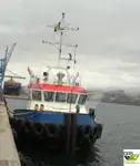 Barcos de trabalho à venda