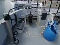 Catamarã à venda
