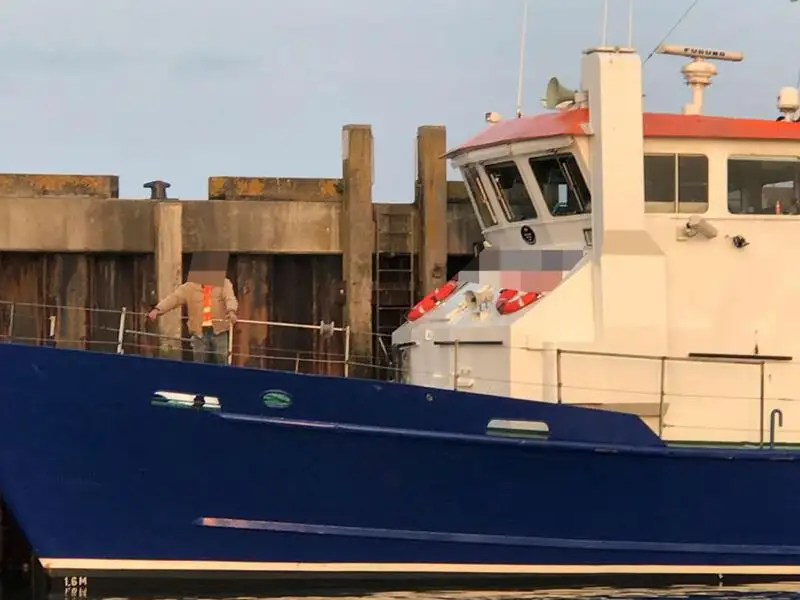 Barcos de trabalho à venda