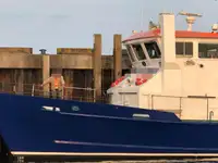 Barcos de trabalho à venda