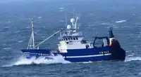 Navio de pesca de arrasto à venda
