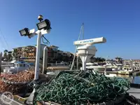 Navio de pesca de arrasto à venda