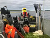 Navio-tanque de água de lastro à venda
