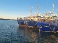 Navio de pesca de arrasto à venda