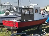 Navio de processamento de peixe à venda