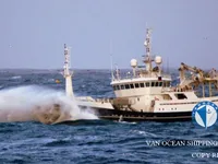 Navio de pesca de arrasto à venda