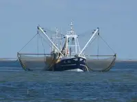 Trawler à venda