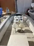 Barcos de trabalho à venda