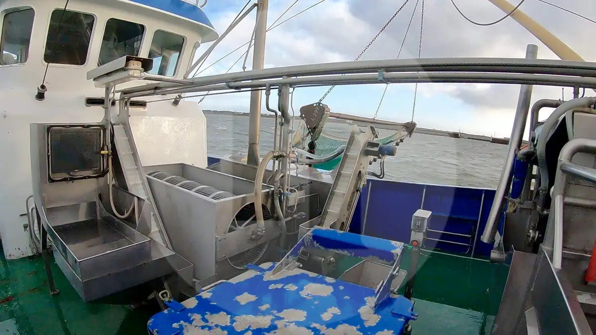 Navio de pesca de arrasto de rede de fundo à venda