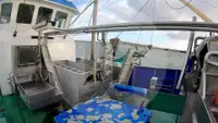 Navio de pesca de arrasto de rede de fundo à venda