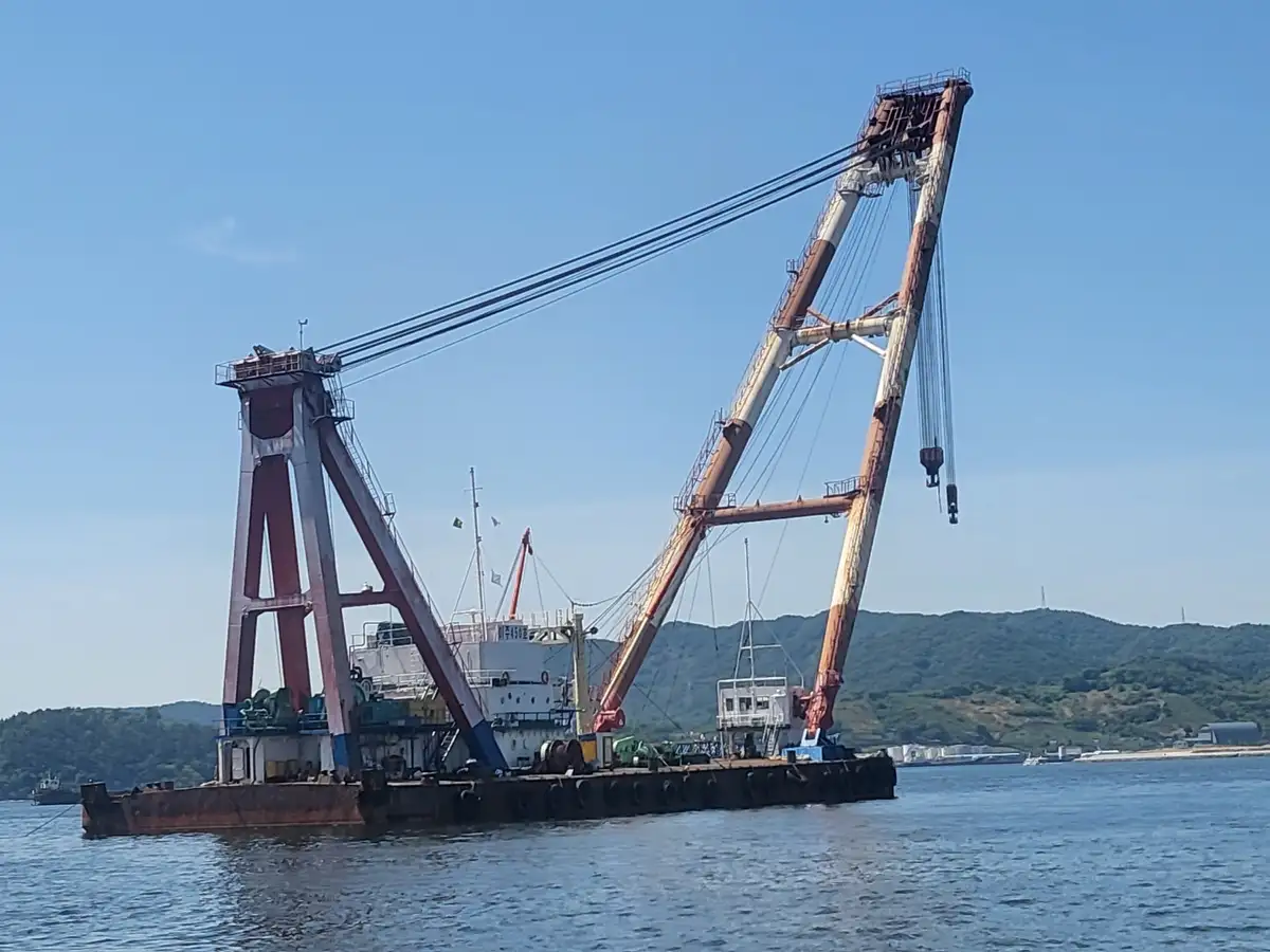 Navio guindaste à venda