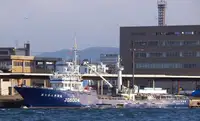 Navio de pesca de cerco à venda