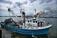 Navio de pesca de cerco à venda