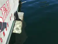 Navio de pesca de arrasto à venda