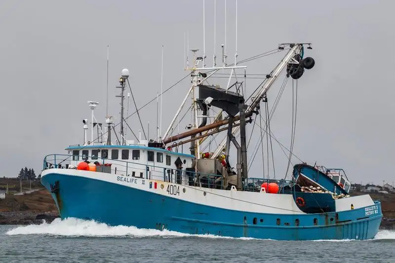 Navio de pesca de cerco à venda