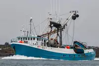 Navio de pesca de cerco à venda