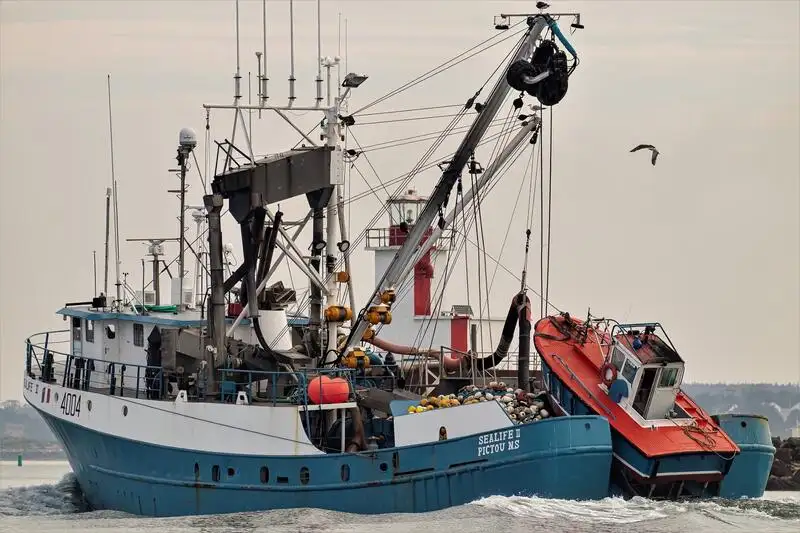 Navio de pesca de cerco à venda
