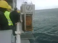 Barcos de trabalho à venda