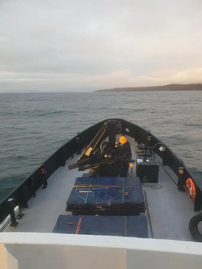Barcos de trabalho à venda