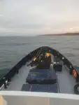 Barcos de trabalho à venda