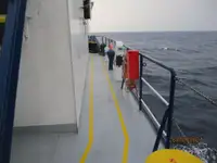 Navio frigorífico à venda