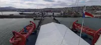 Navio graneleiro à venda