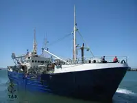Purse seiner à venda