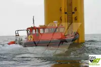 Bote inflável rígido à venda