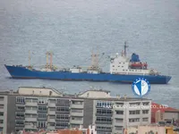 Navio frigorífico à venda